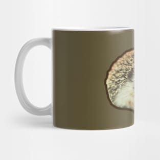 Cute Hedgehog Mug